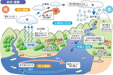 水重要性|水環境および淡水生態系の保全について